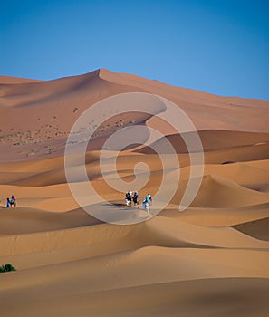 Sahara desert in Morocco