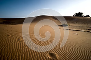 Sahara desert in Morocco