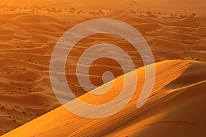 Sahara Desert Morocco