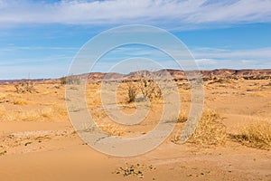 Sahara desert, Morocco