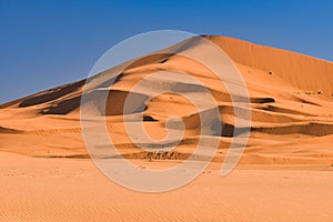Sahara desert Morocco photo