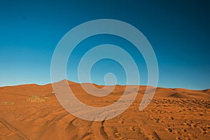 Sahara Desert in Morocco photo