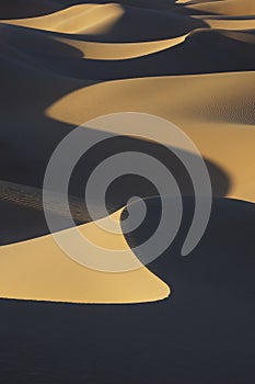 Sahara desert sand dunes with dark shadows.