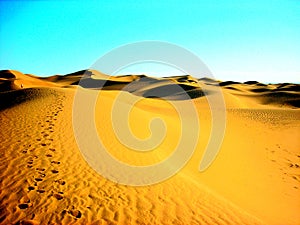 Sahara desert, south Morocco, November
