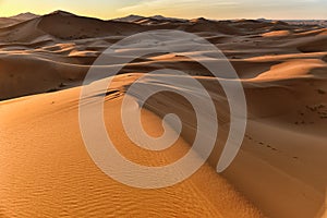 Sahara desert at sunrise, Morocco