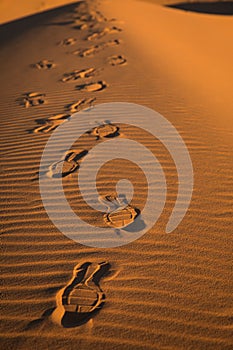 Sahara Desert Sunset View