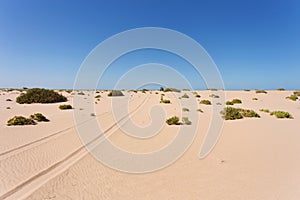 Sahara desert in Western Sahara