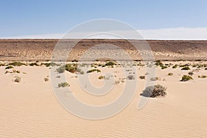 Sahara desert in Western Sahara