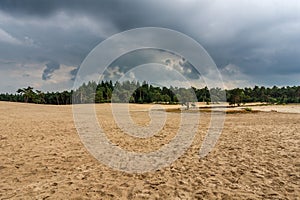 Sahara Nature Park near Ommen