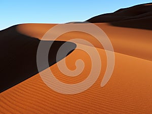 Sahara Sand Dune