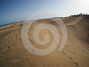 Sahara sand dunes at Maspalomas in Gran Canaria, Canary Islands