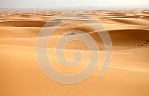 Saharan dunes