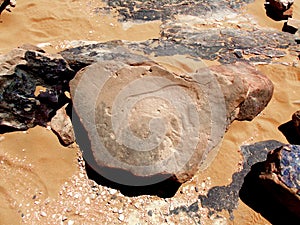 Saharan prehistoric engraving