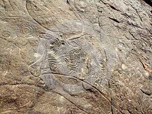 Saharan rock art