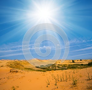 Sahdy desert with dunes under a hot sparkle sun
