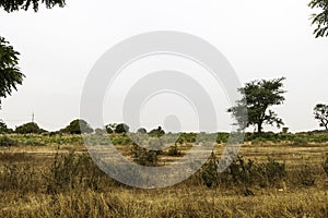 Sahel landscape