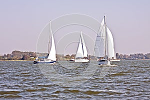 Saiboats on the Haringvliet in the Netherlands photo