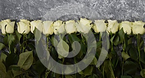 It is said that exclusively white roses grew in the paradise garden. photo
