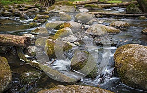 The Saide small river , shallow focus photo