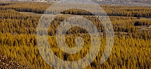 Saihanba National Forest Park