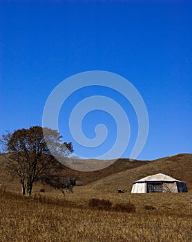 Saihanba National Forest Park