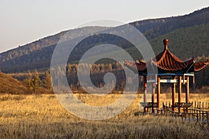 Saihanba National Forest Park