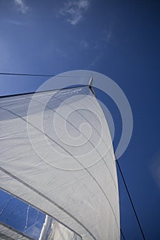 Sail of a modern sailing yacht photo