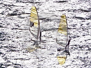 Sail boarders on the sea