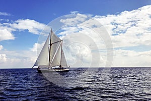 Sail Boat