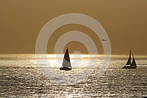 Sail boat