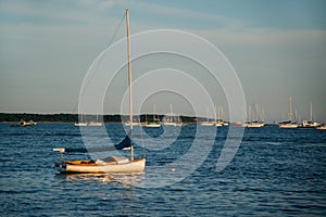 Sail boat cape cod