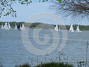 A Sail Boat Club Competition or Regata