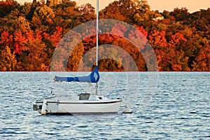 Sail Boat on Lake Harriet against Colorful Autumn Foliage