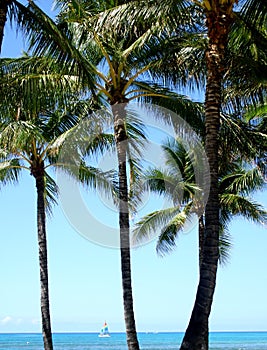 Sail Boat off Waikiki Beach