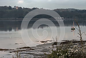 Sail boat reflections cast across the estuary