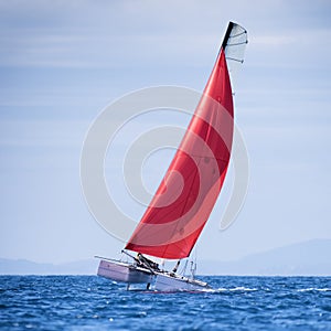 Sail boat regatta