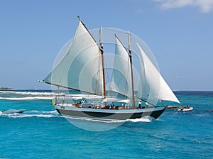 Hoja un barco sobre el el mar 