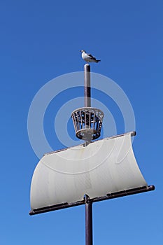 Sail boat and seagull