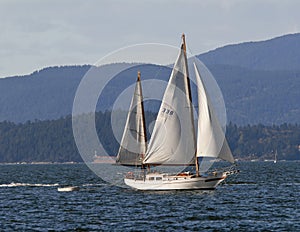 Sail boat in Stanley Park, Vancover, Canada