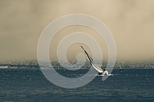 Sail Boat in Stormy San Francisco Bay