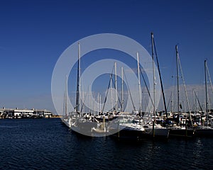 Sail Boats photo