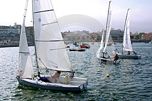 Sail Boats