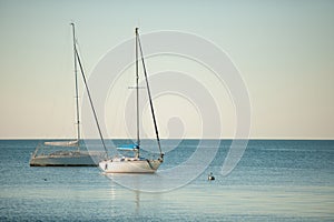 Sail boats anchored on a calm sea in late afternoon