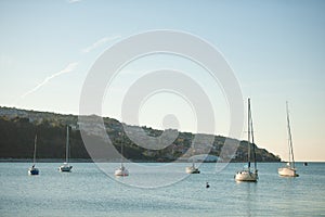 Sail boats anchored on a calm sea in late afternoon