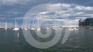 Sail Boats in Boston Harbor