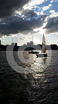 Sail Boats in Boston Harbor