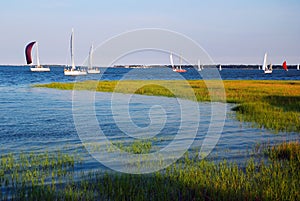 Sail boats glide on the river