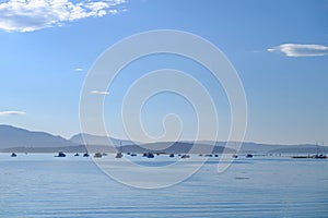 Sail boats moored in the Bay outside Sydney spit