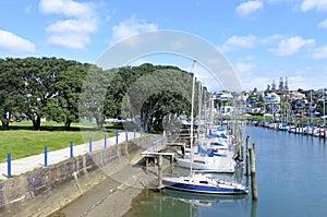 Sail boats mooring in Wairau Creek in Milford Auckland