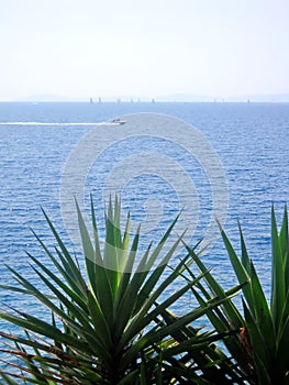 Sail boats and motor boat seen from coast